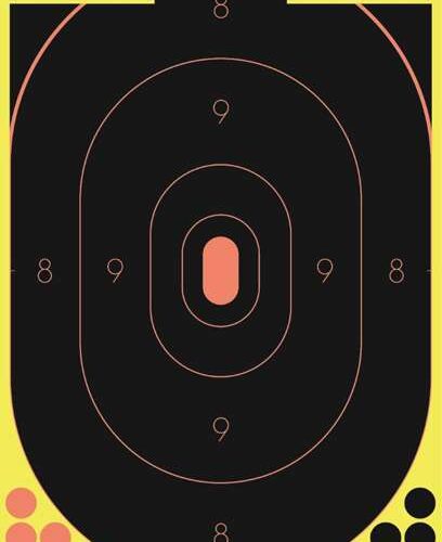 Birchwood Casey Shoot-N-C 5-12x18in Targets #34605