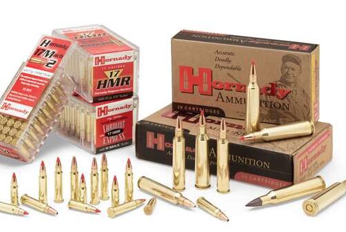 Hornady 83206 Superformance Varmint  204 Ruger 40 gr V-Max 20 Bx/ 10 Cs