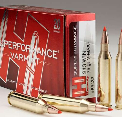 https-images.coreware.com-images-products-30961-14252267__33510.jpg Hornady Superformance Varmint 243 Winchester Ammo 75 Grain Hornady V-Max Polymer Tip - 83433