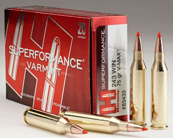 Hornady Superformance Varmint 243 Winchester Ammo 75 Grain Hornady V-Max Polymer Tip - 83433