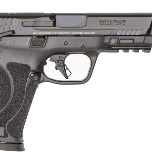 Smith & Wesson PC M&P 10mm M2.0 Optics Ready Ported Barrel Pistol